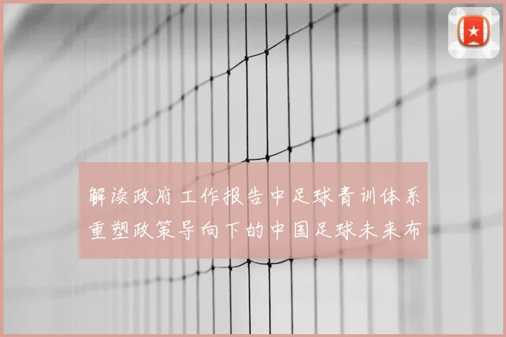 解读政府工作报告中足球青训体系重塑政策导向下的中国足球未来布局